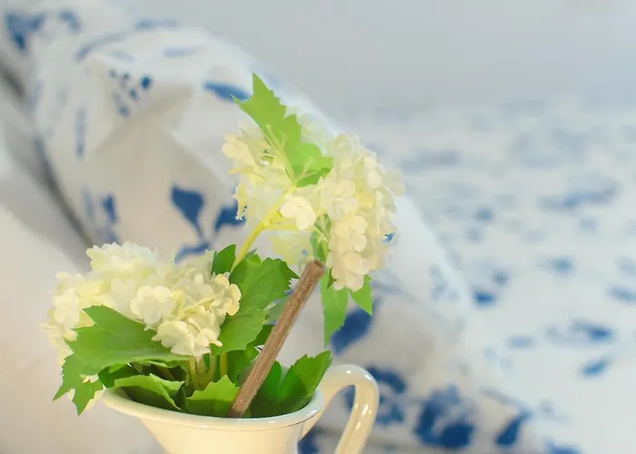 Vela Διαμέρισμα *